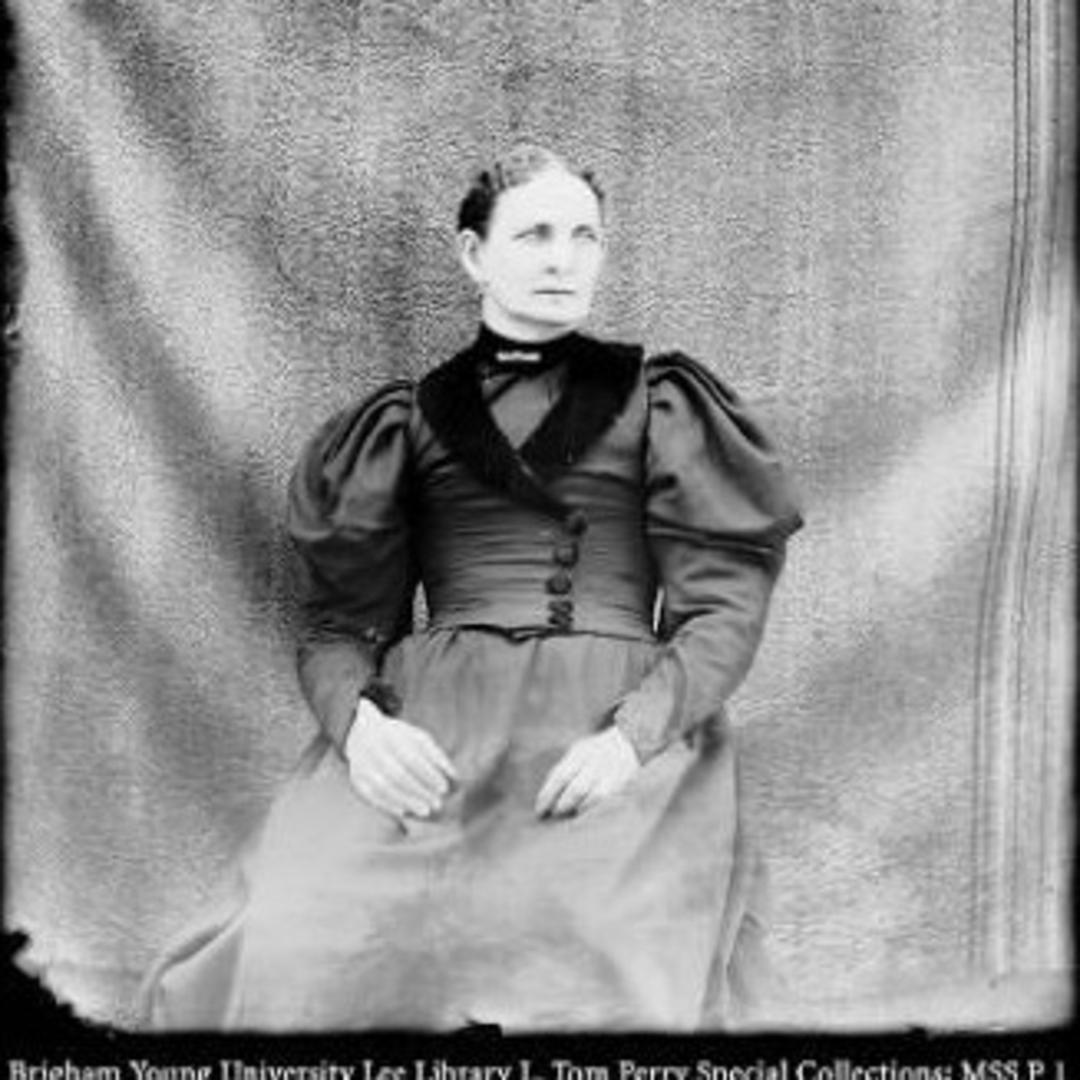 Elna Jacobson Widerburg (1846 - 1910) Profile